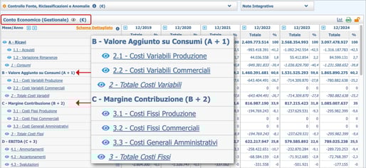 CONTO ECONOMICO GESTIONALE con focus
